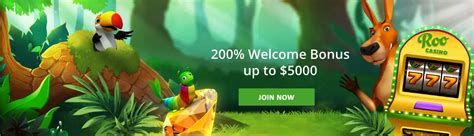 robin roo casino login|Best Online Casino in Australia 2024 – Robin Roo Casino.